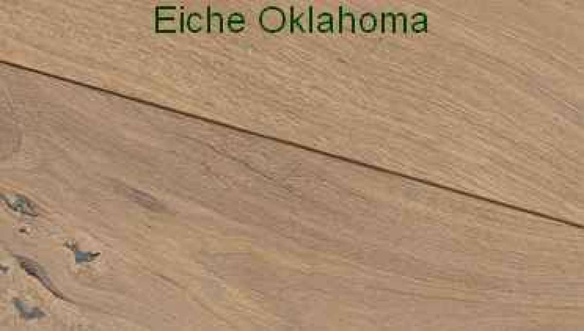 Eiche Oklahoma